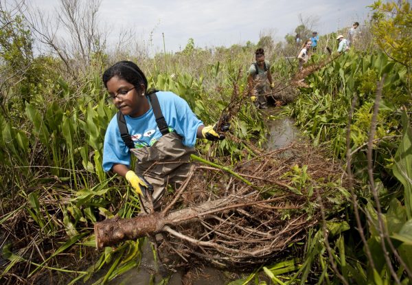 SAVING THE WETLANDS ONE DISCARDED TREE AT A TIME – Southeastern Louisiana University students help deploy discarded Christmas trees to aid in Louisiana wetlands restoration. This is the 30th straight year Southeastern has conducted its recycled tree program.